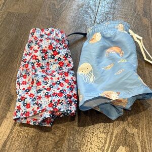 Boys Toddler Swim Trunk Bundle
